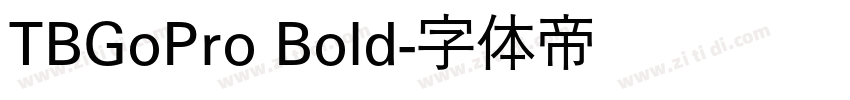 TBGoPro Bold字体转换